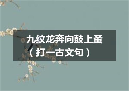九纹龙奔向鼓上蚤（打一古文句）
