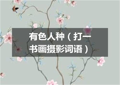 有色人种（打一书画摄影词语）