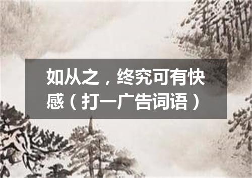 如从之，终究可有快感（打一广告词语）