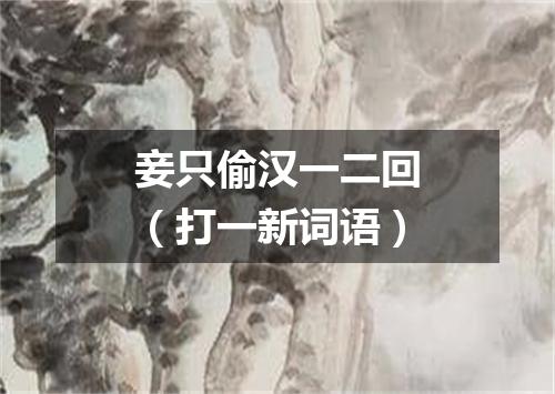 妾只偷汉一二回（打一新词语）