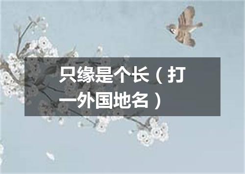 只缘是个长（打一外国地名）