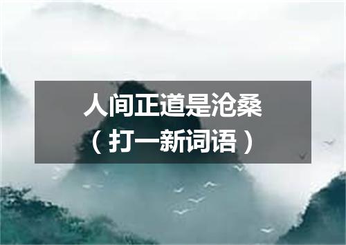 人间正道是沧桑（打一新词语）