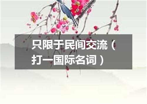 只限于民间交流（打一国际名词）