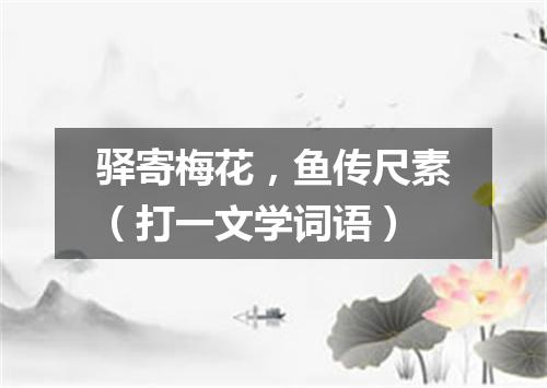 驿寄梅花，鱼传尺素（打一文学词语）