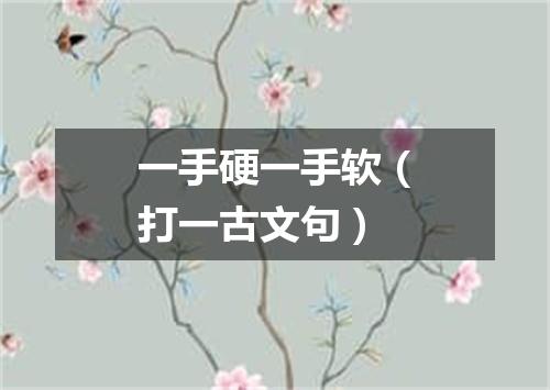 一手硬一手软（打一古文句）