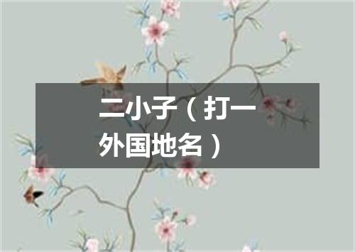 二小子（打一外国地名）