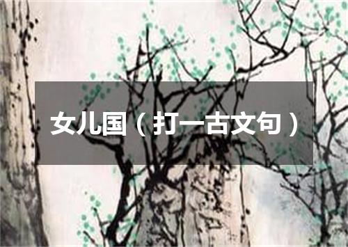 女儿国（打一古文句）