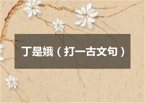 丁是娥（打一古文句）