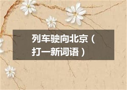 列车驶向北京（打一新词语）