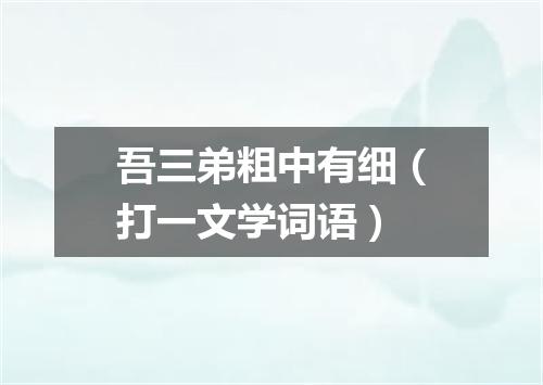 吾三弟粗中有细（打一文学词语）