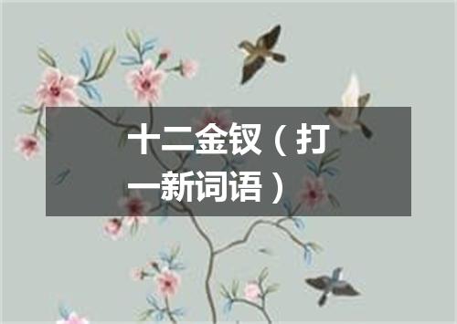 十二金钗（打一新词语）