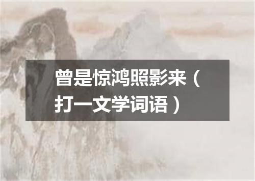 曾是惊鸿照影来（打一文学词语）