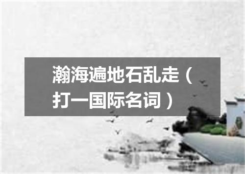 瀚海遍地石乱走（打一国际名词）