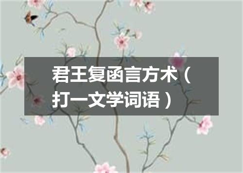 君王复函言方术（打一文学词语）