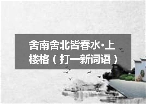 舍南舍北皆春水·上楼格（打一新词语）