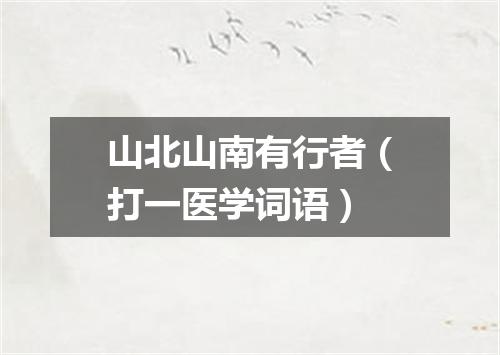 山北山南有行者（打一医学词语）