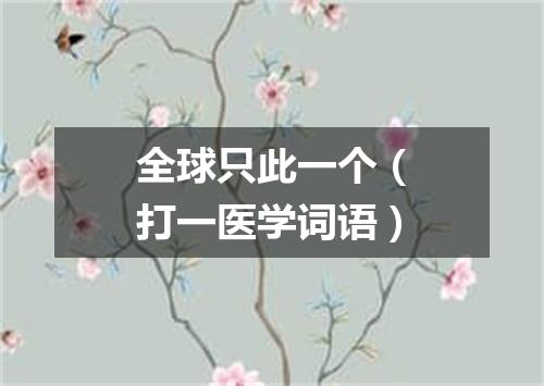全球只此一个（打一医学词语）