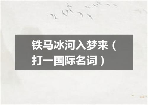 铁马冰河入梦来（打一国际名词）