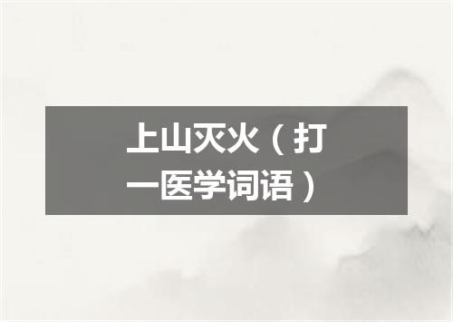 上山灭火（打一医学词语）