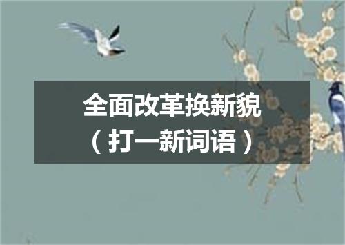 全面改革换新貌（打一新词语）