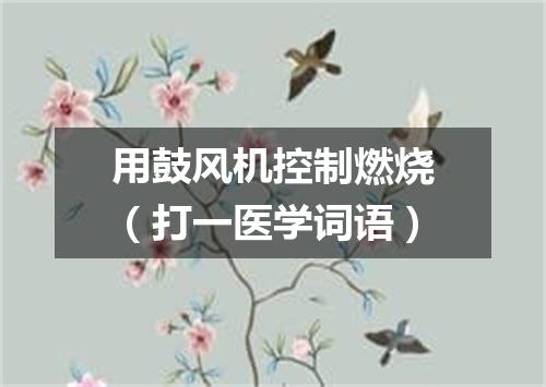 用鼓风机控制燃烧（打一医学词语）