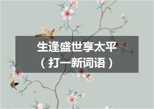 生逢盛世享太平（打一新词语）