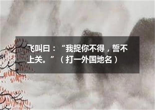 飞叫曰：“我捉你不得，誓不上关。”（打一外国地名）