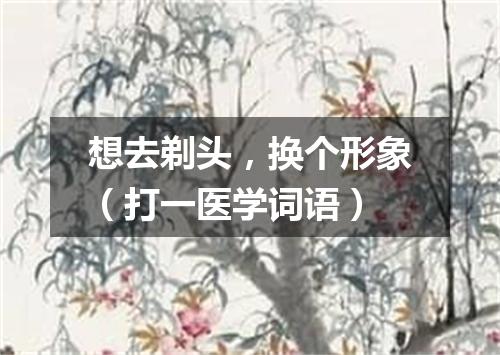 想去剃头，换个形象（打一医学词语）