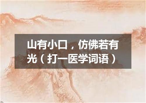 山有小口，仿佛若有光（打一医学词语）