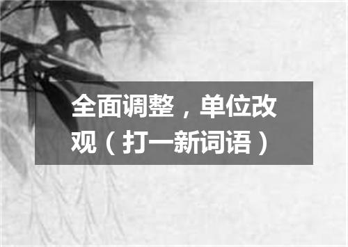 全面调整，单位改观（打一新词语）