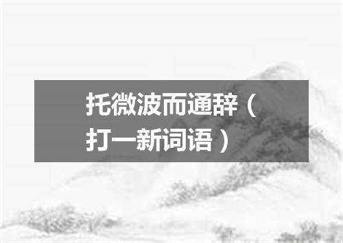 托微波而通辞（打一新词语）