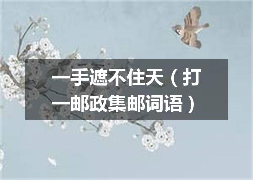 一手遮不住天（打一邮政集邮词语）