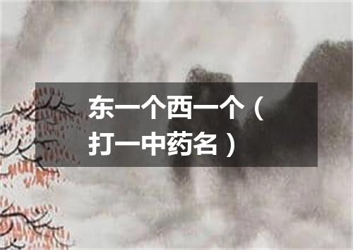东一个西一个（打一中药名）