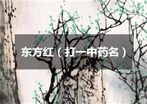 东方红（打一中药名）