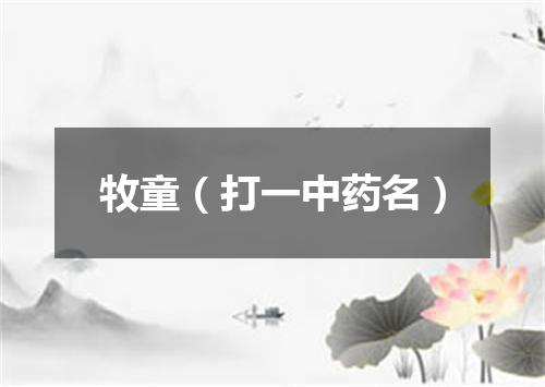 牧童（打一中药名）