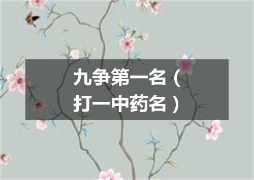 九争第一名（打一中药名）