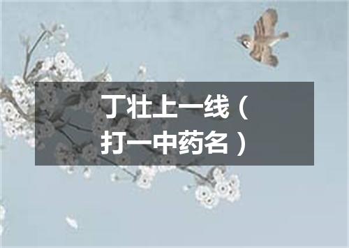 丁壮上一线（打一中药名）