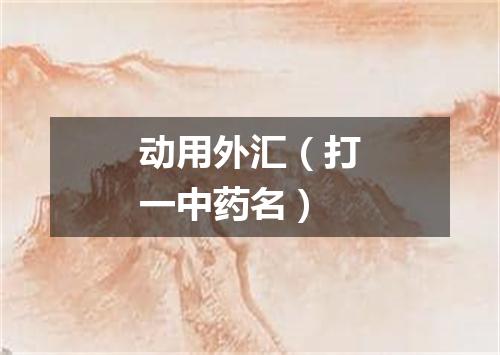 动用外汇（打一中药名）