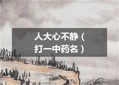 人大心不静（打一中药名）
