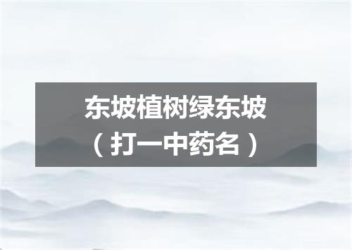 东坡植树绿东坡（打一中药名）