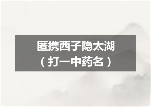 匿携西子隐太湖（打一中药名）