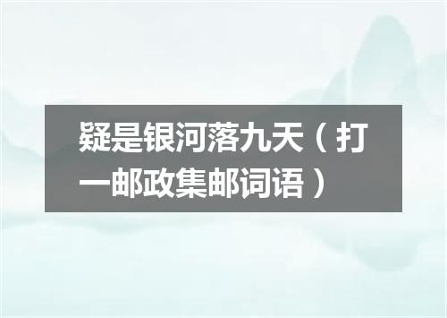 疑是银河落九天（打一邮政集邮词语）