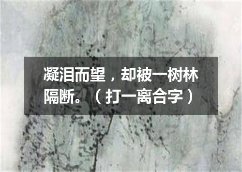 凝泪而望，却被一树林隔断。（打一离合字）