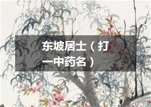 东坡居士（打一中药名）