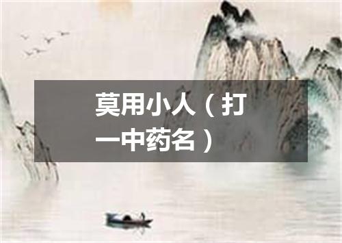 莫用小人（打一中药名）