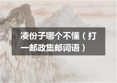 凑份子哪个不懂（打一邮政集邮词语）