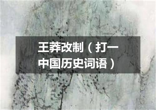 王莽改制（打一中国历史词语）