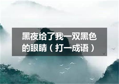 黑夜给了我一双黑色的眼睛（打一成语）
