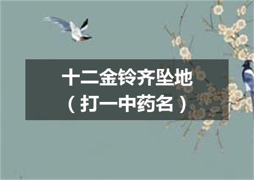 十二金铃齐坠地（打一中药名）
