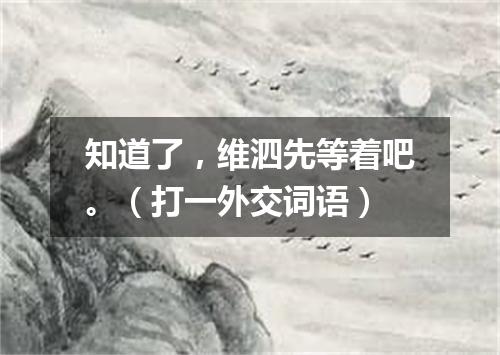 知道了，维泗先等着吧。（打一外交词语）
